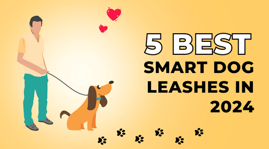 5 Best Smart Dog Leashes in 2024